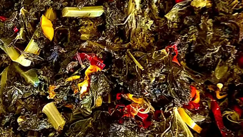 FB_VID_2084379409171438174
